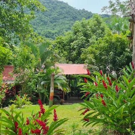 Eco Hostal Monolandia El Zaino Exterior foto