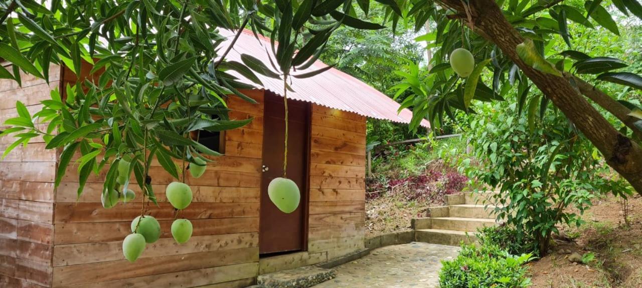 Eco Hostal Monolandia El Zaino Exterior foto