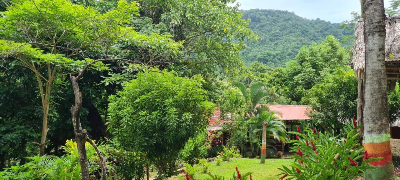 Eco Hostal Monolandia El Zaino Exterior foto