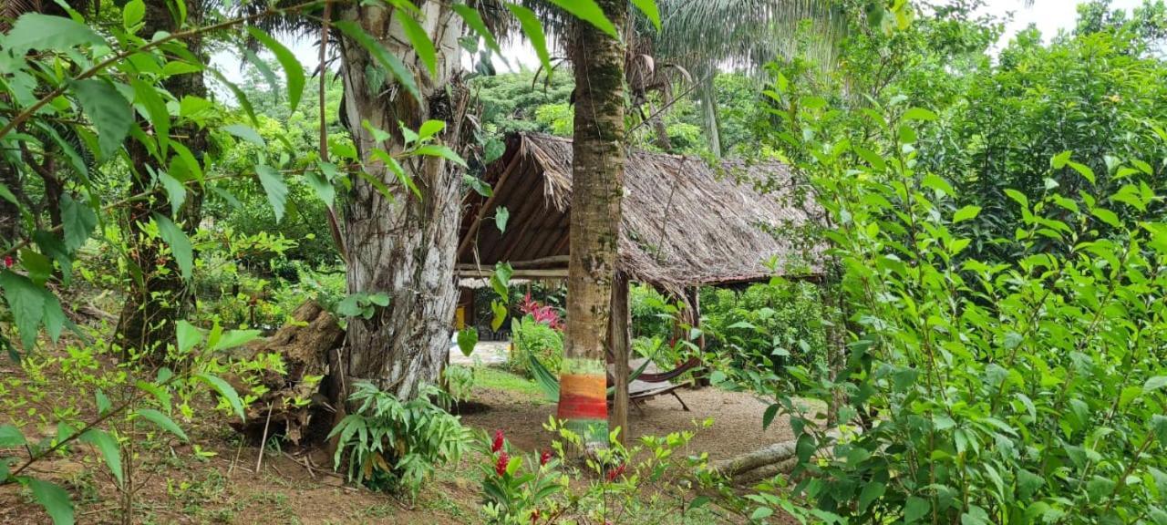 Eco Hostal Monolandia El Zaino Exterior foto