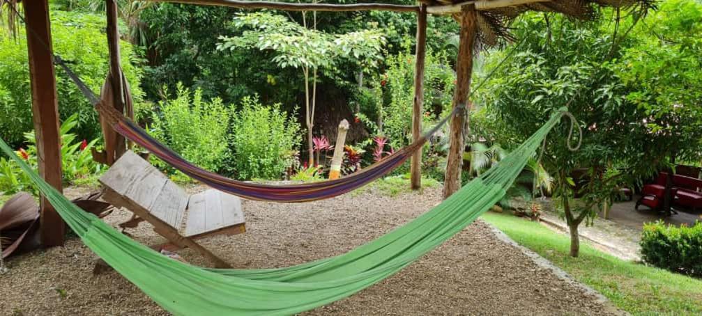 Eco Hostal Monolandia El Zaino Exterior foto
