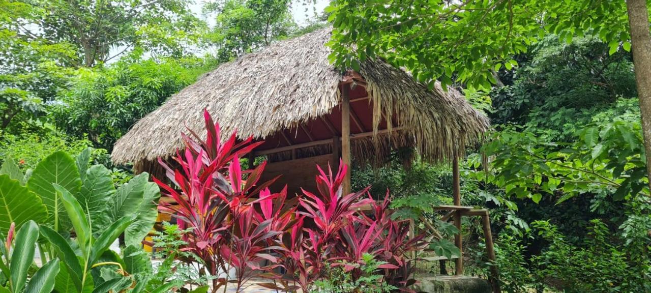 Eco Hostal Monolandia El Zaino Exterior foto