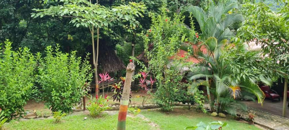 Eco Hostal Monolandia El Zaino Exterior foto